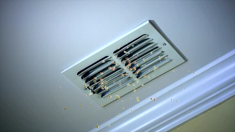 Best HVAC Air Duct Cleaning  in Burton, MI